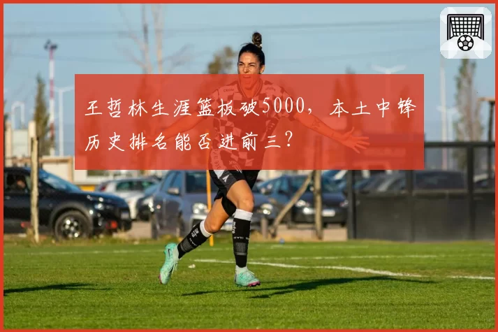 王哲林生涯篮板破5000，本土中锋历史排名能否进前三？