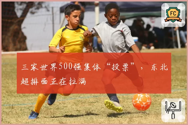 三家世界500强集体“投票”,东北超排面正在拉满