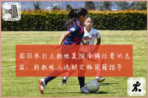 国羽单打主教练夏煊泽调任青训总监，新教练人选锁定韩国籍指导