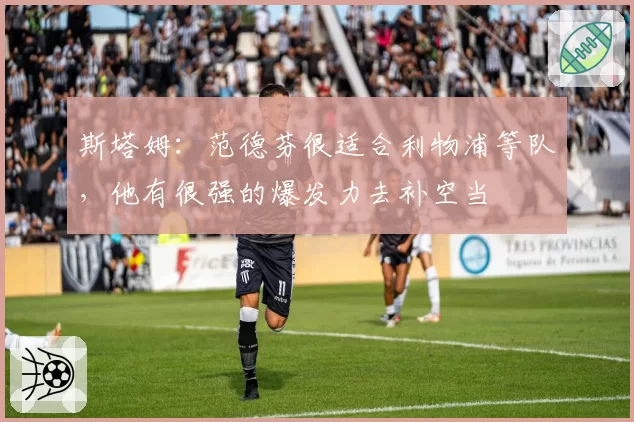 斯塔姆：范德芬很适合利物浦等队，他有很强的爆发力去补空当