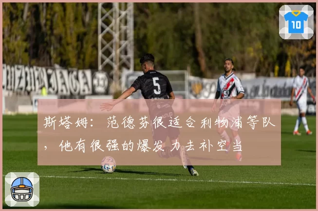 斯塔姆：范德芬很适合利物浦等队，他有很强的爆发力去补空当